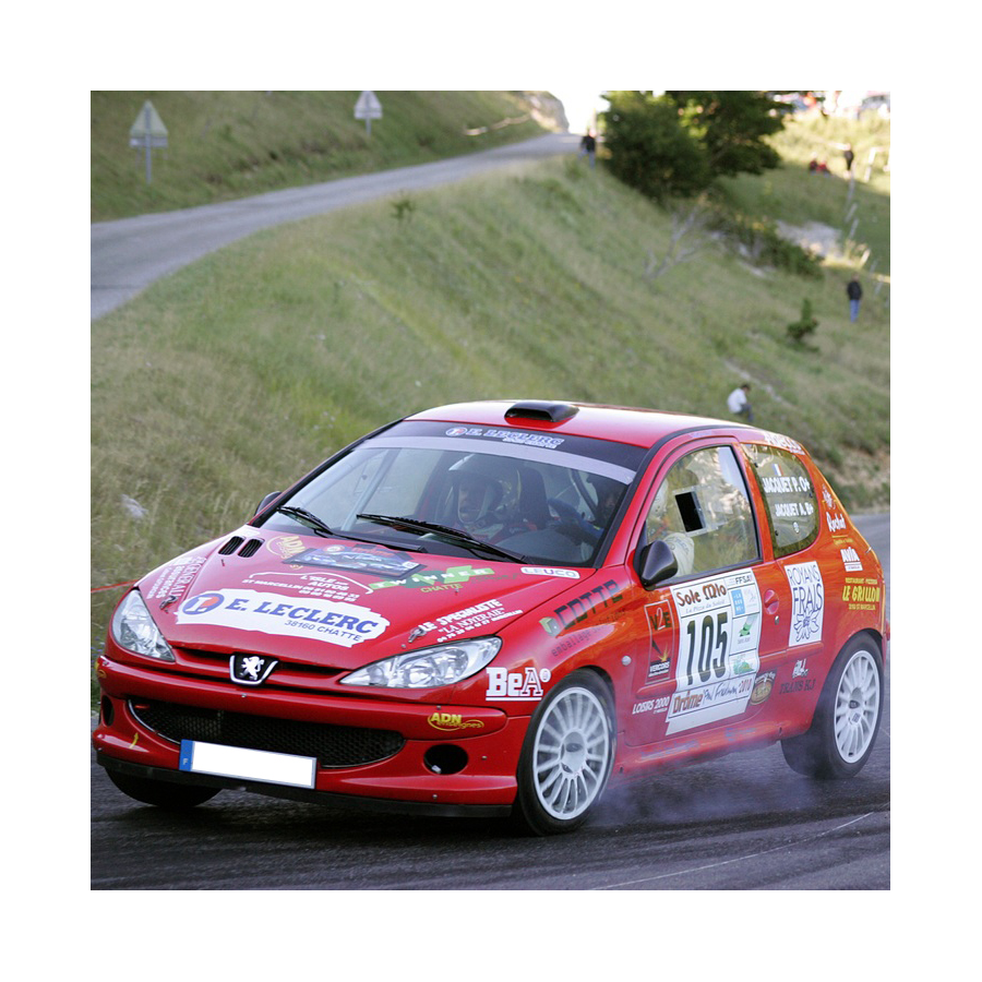 Kit Makrolon Peugeot 206 F2000