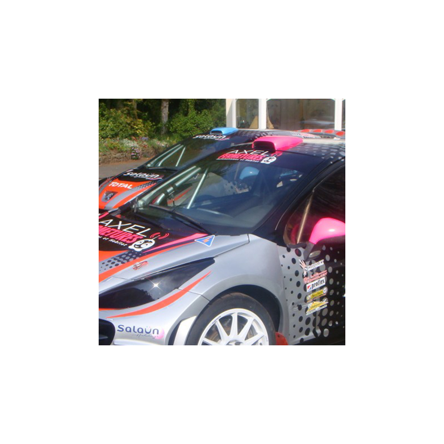 Pare-brise Polycarbonate Margard Peugeot 207