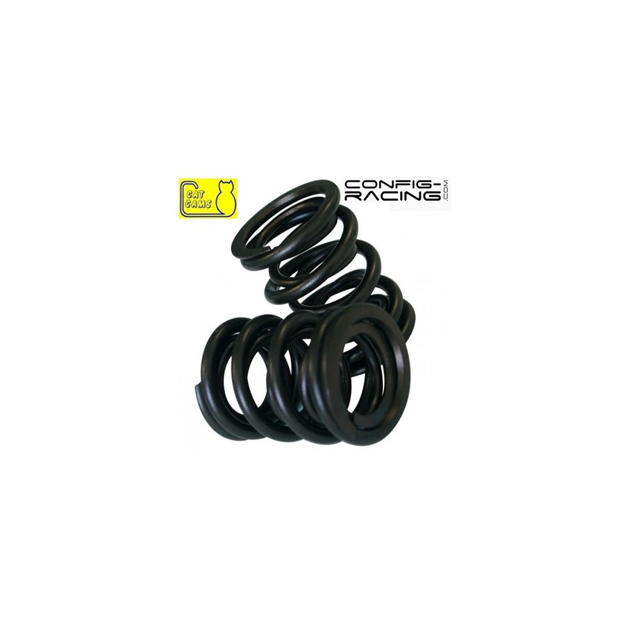 Kit de Ressorts de soupapes Cat cams Gold Peugeot 206 S16 - EW10J4