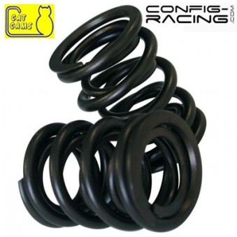 Kit de Ressorts de soupapes Cat cams Gold Peugeot 206 S16 - EW10J4