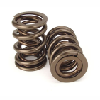 Kit de Ressorts de soupapes Cat cams Gold Peugeot 206 S16 - EW10J4