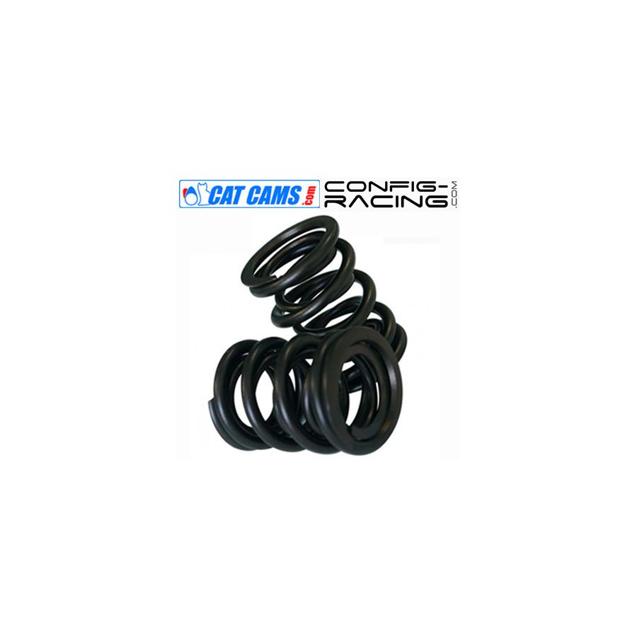 Kit de Ressorts de soupapes Cat cams Peugeot 206 S16 - EW10J4